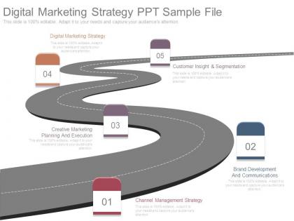 Digital marketing strategy ppt sample file