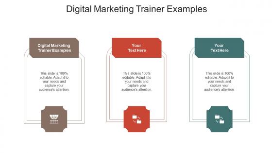 Digital marketing trainer examples ppt powerpoint presentation inspiration show cpb