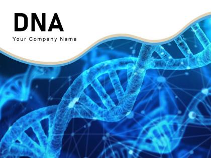 DNA Molecular Structure Representation Practitioner Performing Laboratory