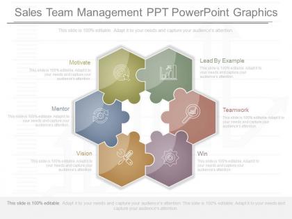 Download sales team management ppt powerpoint graphics