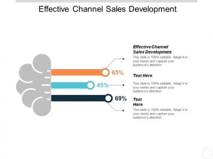 Effective channel sales development ppt powerpoint presentation infographics outline cpb