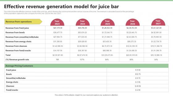 Effective Revenue Generation Model For Juice Nekter Juice And Shakes Bar Business Plan Sample BP SS