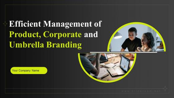 Efficient Management Of Product Corporate And Umbrella Branding CD