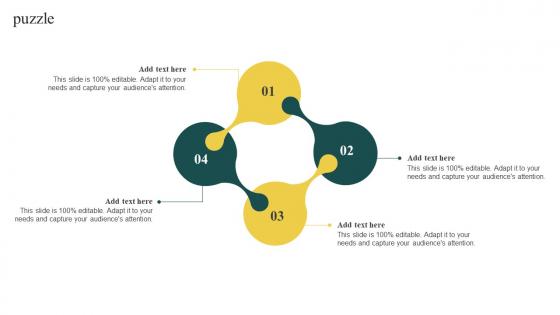 Elderly Care Business Plan Puzzle Ppt Information BP SS