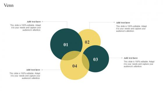 Elderly Care Business Plan Venn Ppt Information BP SS