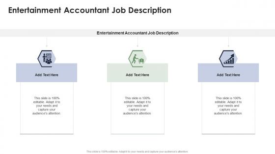 Entertainment Accountant Job Description In Powerpoint And Google Slides Cpb