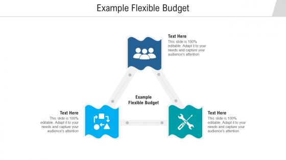 Example flexible budget ppt powerpoint presentation gallery infographics cpb