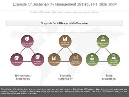 Example of sustainability management strategy ppt slide show