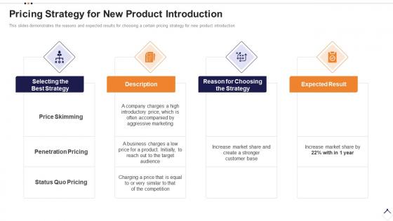 Execution plan for product launch pricing strategy for new product introduction