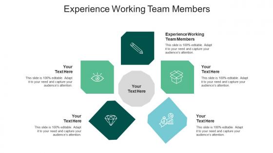 Experience working team members ppt powerpoint presentation gallery slide portrait cpb