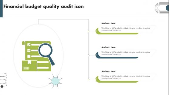 Financial Budget Quality Audit Icon