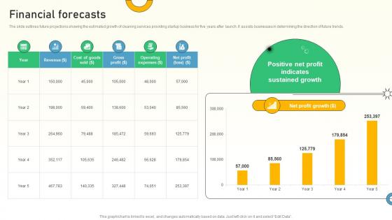 Financial Forecasts Cleaning Solutions Business Market Entry Plan GTM SS V