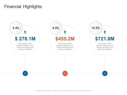 Financial highlights doller organizational marketing policies strategies ppt elements