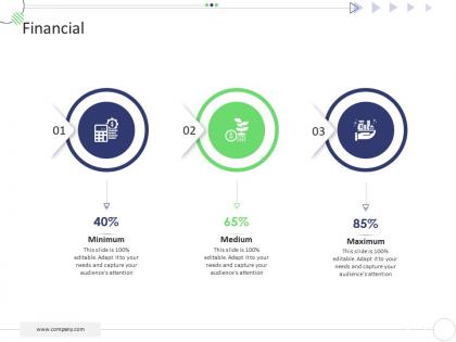 Financial mckinsey 7s strategic framework project management ppt elements