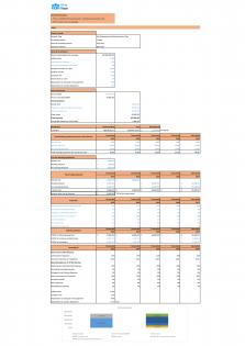 Financial Statements And Valuation For Dry Cleaning Home Delivery Business Plan In Excel BP XL