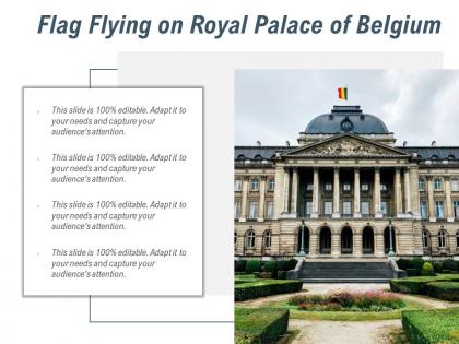 Flag flying on royal palace of belgium