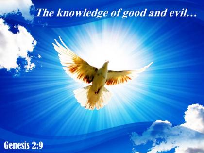 Genesis 2 9 the knowledge of good powerpoint church sermon