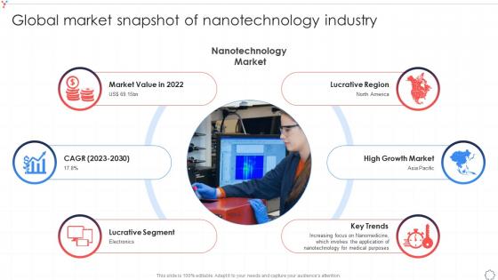 Global Market Snapshot Of Nanotechnology Industry Global Nanotechnology Industry IR SS