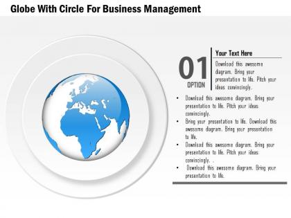 Globe with circles for business management ppt presentation slides