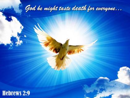 Hebrews 2 9 god he might taste death for everyone powerpoint church sermon