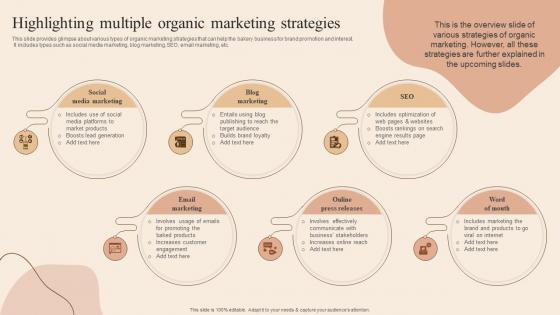 Highlighting Multiple Organic Marketing Developing Actionable Advertising Plan Tactics MKT SS V