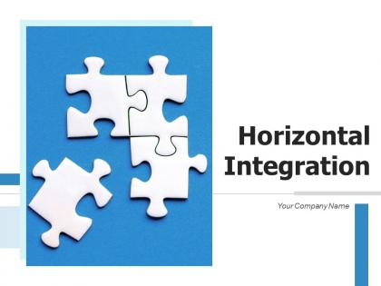 Horizontal Integration Business Expansion Organization Strategy Processes Management