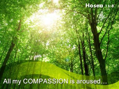 Hosea 11 8 all my compassion is aroused powerpoint church sermon