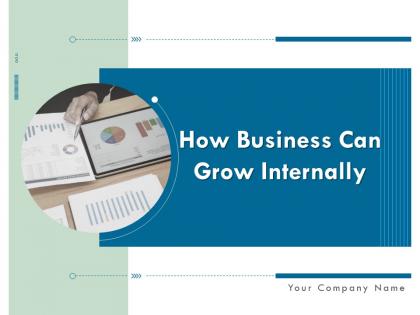 How Business Can Grow Internally Powerpoint Presentation Slides