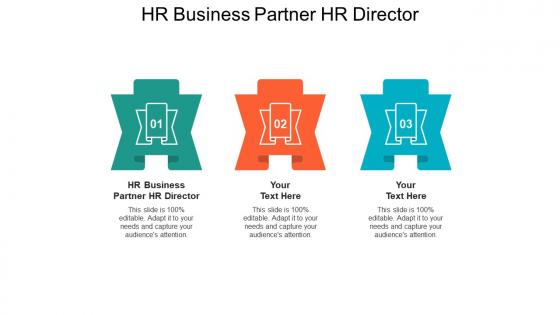 Hr business partner hr director ppt powerpoint presentation portfolio show cpb