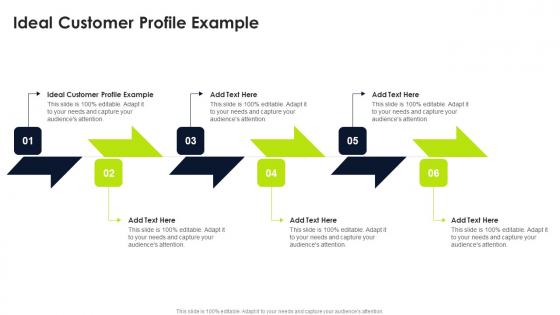 Ideal Customer Profile Example In Powerpoint And Google Slides Cpb