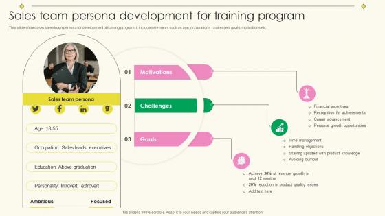 Implementing Effective Sales Training Sales Team Persona Development For Training Program