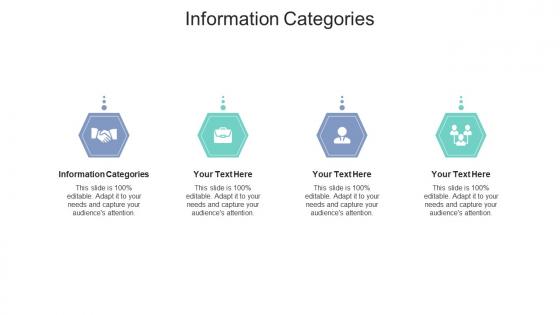 Information categories ppt powerpoint presentation slides graphics example cpb