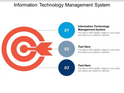 Information technology management system ppt powerpoint presentation infographic template gridlines cpb