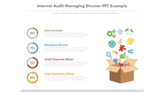 Internal audit managing director ppt example