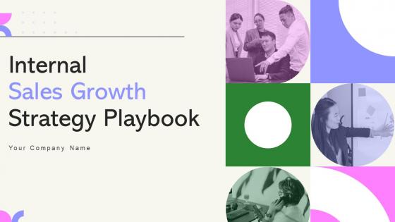 Internal Sales Growth Strategy Playbook Powerpoint Presentation Slides