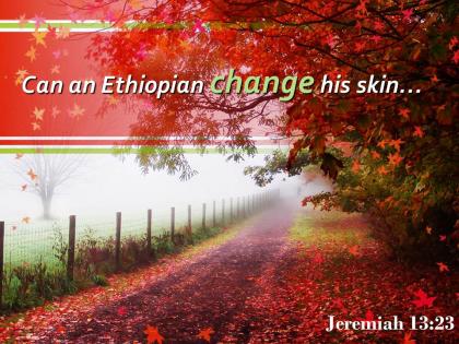 Jeremiah 13 23 can an ethiopian change his skin powerpoint church sermon