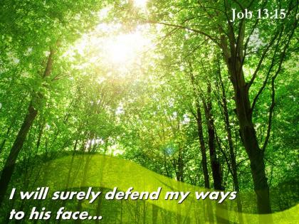 Job 13 15 i will surely defend my ways powerpoint church sermon