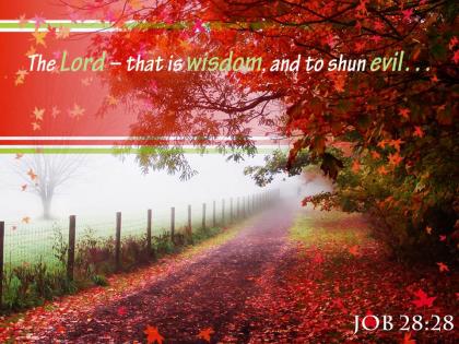 Job 28 28 the lord that is wisdom powerpoint church sermon