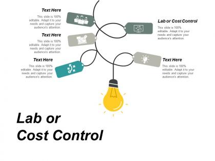 Lab or cost control ppt powerpoint presentation portfolio infographic template cpb