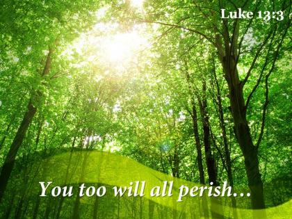 Luke 13 3 you too will all perish powerpoint church sermon