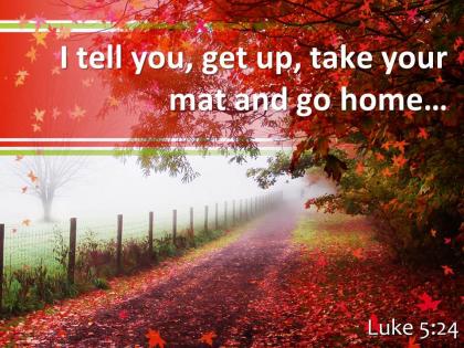 Luke 5 24 i tell you get up take powerpoint church sermon