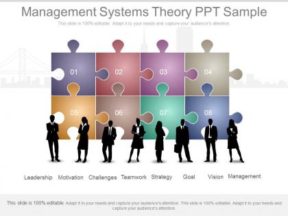 Management systems theory ppt sample