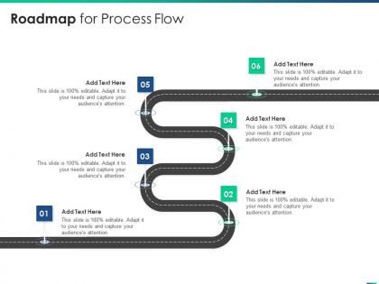 Managing product introduction to market roadmap for process flow