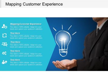 Mapping customer experience ppt powerpoint presentation portfolio layout cpb