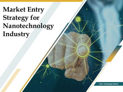 Market entry strategy for nanotechnology industry powerpoint presentation slides