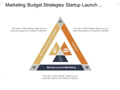 Marketing budget strategies startup launch marketing seo strategy