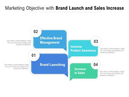 Marketing objective with brand launch and sales increase