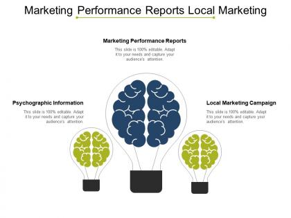 Marketing performance reports local marketing campaign psychographic information cpb