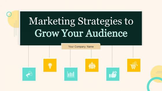 Marketing Strategies To Grow Your Audience Powerpoint Presentation Slides V