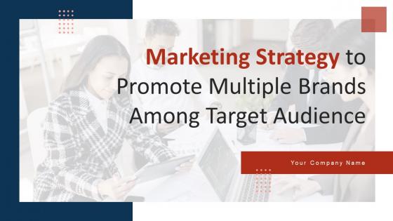 Marketing Strategy To Promote Multiple Brands Among Target Audience Branding CD V